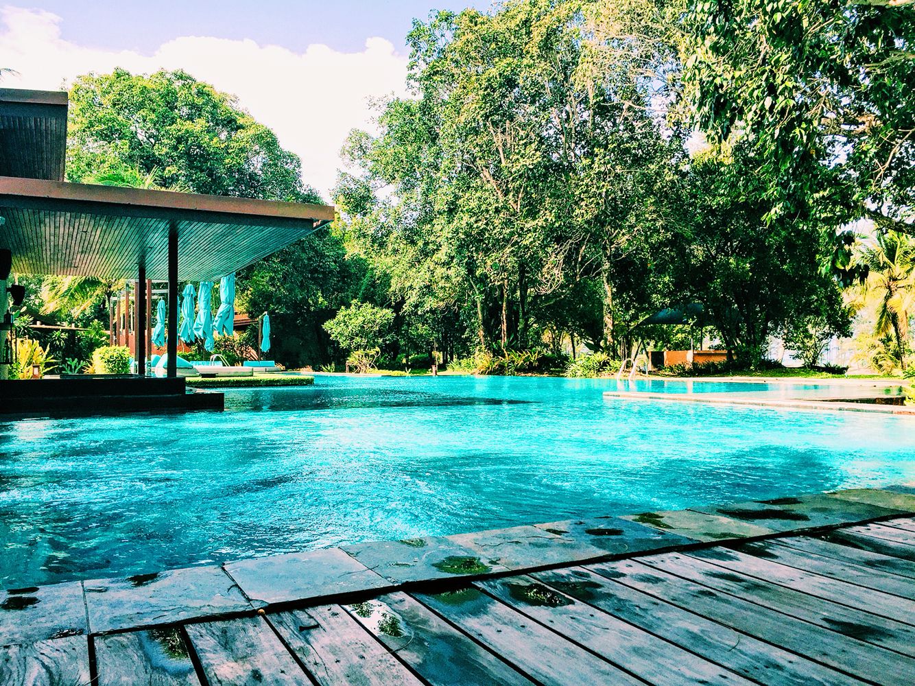 LonghiOutwells Store 17 LonghiOutwells Store -LonghiOutwells Store 020cfb7f43015f072c1a0d2fb5da6864